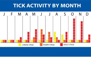 Tick activity Chart